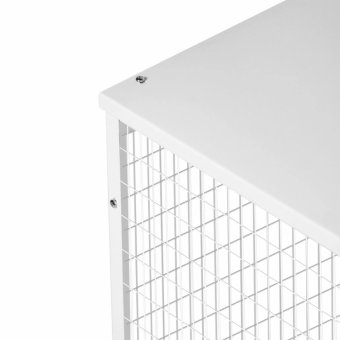 photo_2026-03-04_11-33-17